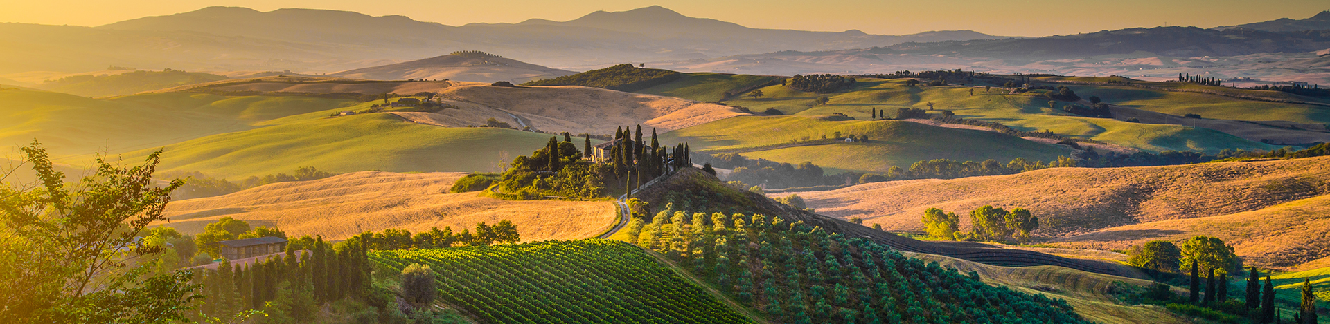 Tuscany landscape at sunrise